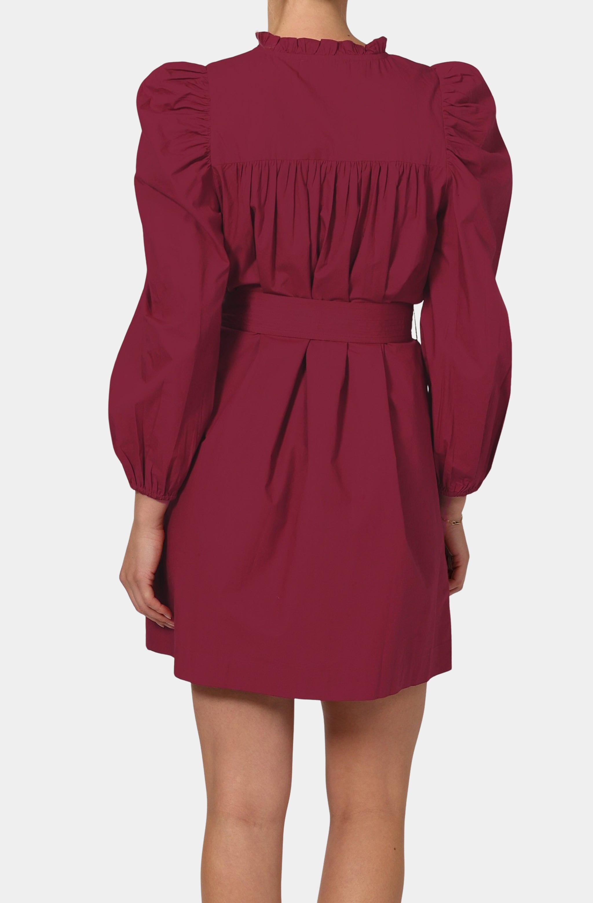 Ivana Mini Dress