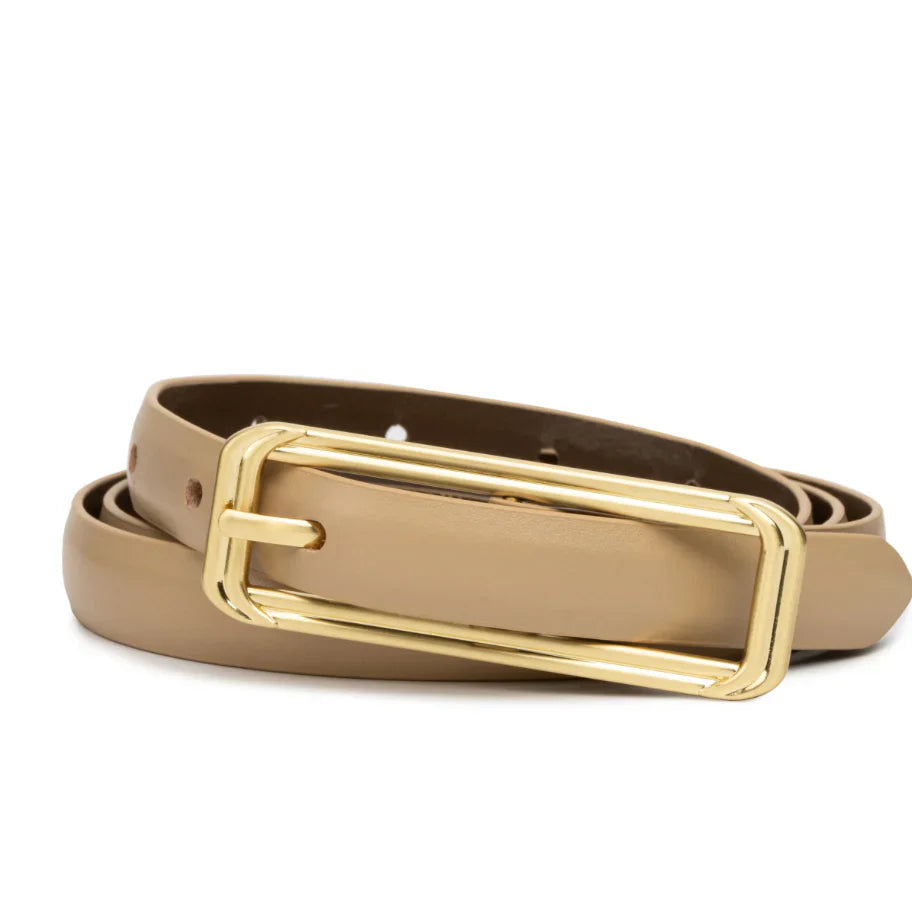 The Picarra Belt